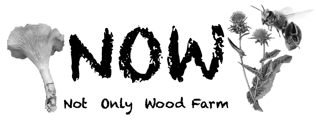 NOW Farm
